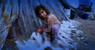 Pengungsi Gaza Bangun Rumah Tanah Liat Hadapi Musim Dingin