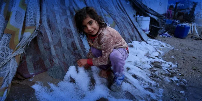 Pengungsi Gaza Bangun Rumah Tanah Liat Hadapi Musim Dingin