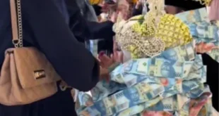 Penipuan Paket Plesir Nikah Ayu Puspita: Fakta Terbaru 2025