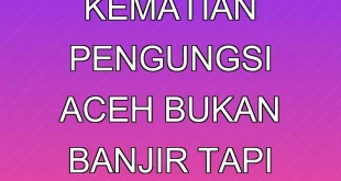 Penyebab Kematian Pengungsi Aceh Bukan Banjir, Tapi Kelaparan