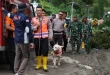 Polda Sumut Gunakan Anjing Pelacak untuk Cari Korban Banjir Longsor