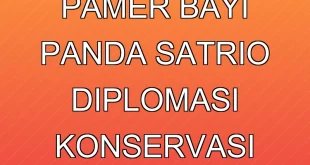 Prabowo Pamer Bayi Panda Satrio: Diplomasi & Konservasi Terbaru