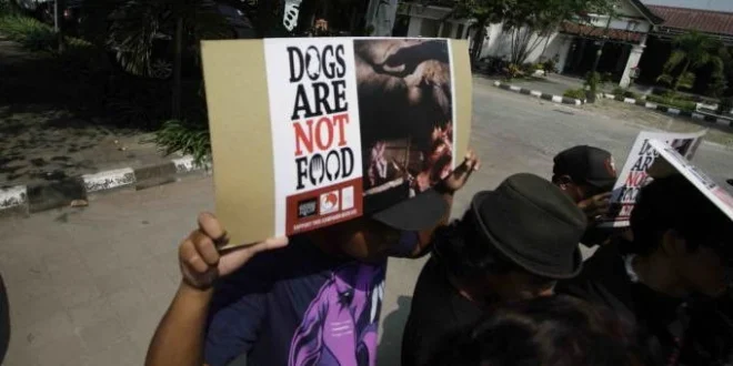 Pramono Perintahkan Pacu Pengawasan Perdagangan Anjing Konsumsi