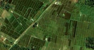 Rekam Citra Satelit Ungkap Penyebab Lahan Gundul & Banjir Sumut