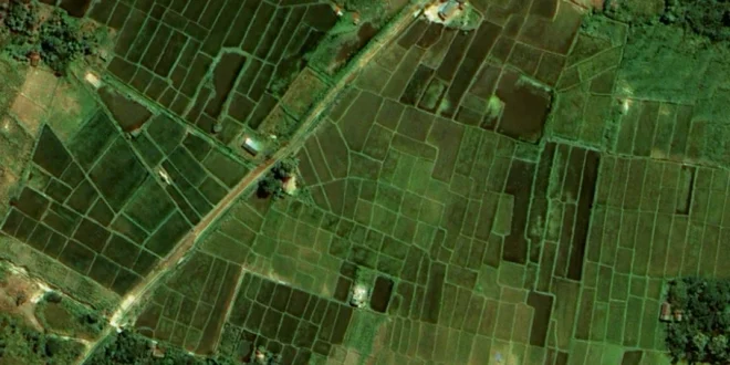 Rekam Citra Satelit Ungkap Penyebab Lahan Gundul & Banjir Sumut