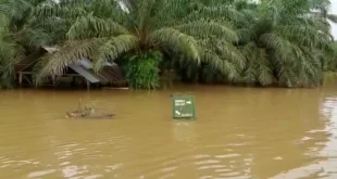 RSUD Aceh Tamiang Pulih Cepat Usai Banjir Bandang 2025