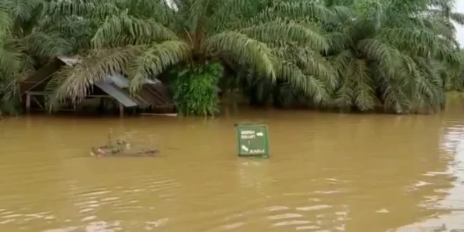 RSUD Aceh Tamiang Pulih Cepat Usai Banjir Bandang 2025