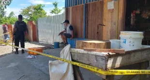 Satgas Cartenz Usut Kasus Pembunuhan Pencari Kayu Gaharu di Yahukimo