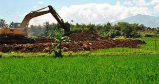 Serikat Petani Hutan Sukabumi: Sisa 12% Lahan Hutan Terkikis