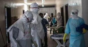 Wabah Chikungunya dan Dengue di Kuba Sebabkan 33 Kematian, 21 Anak Tewas