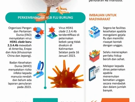 Wabah Flu Burung Spanyol Terkini: Burung Liar Aman, Pengawasan Ketat