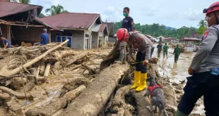 1.157 Korban Bencana Hidrometeorologi Sumatra Terbaru 2025