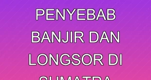 12 Perusahaan Penyebab Banjir dan Longsor di Sumatra Terungkap