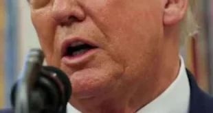 Analisis Penembakan Alex Pretti: Trump Bela Agen ICE