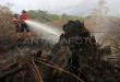 Kebakaran Hutan Aceh Barat Meluas 50 Hektare, Penanganan Terpadu