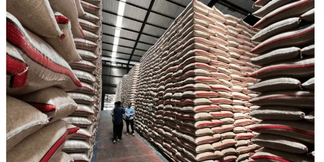 Pemerintah Indonesia Bebas Impor Beras & Gula 2026, Ini Alasannya